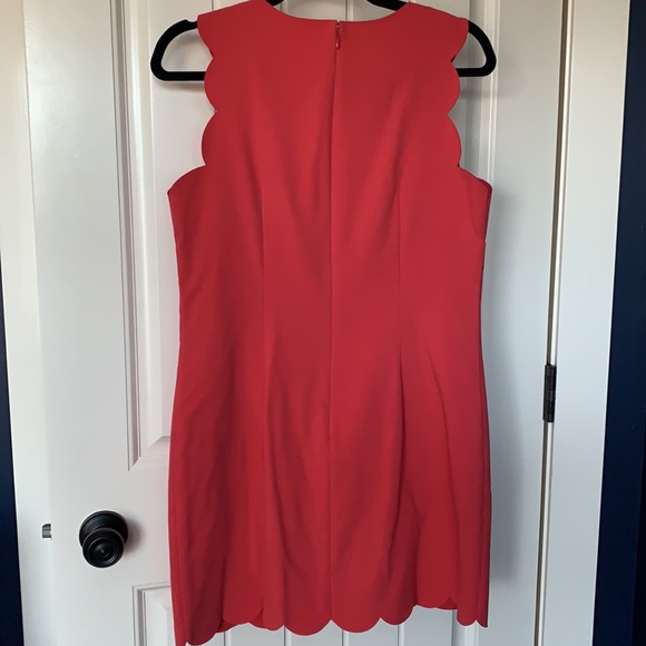 J Crew Factory Shift Dress - Picture 5 of 5